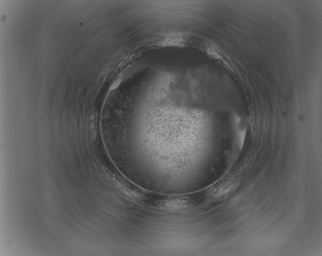 X0000073890462200608180938