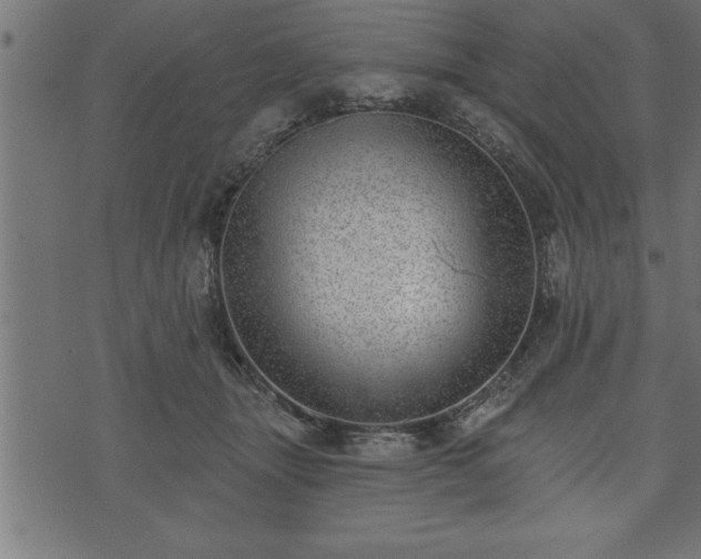 X0000073890463200608180938