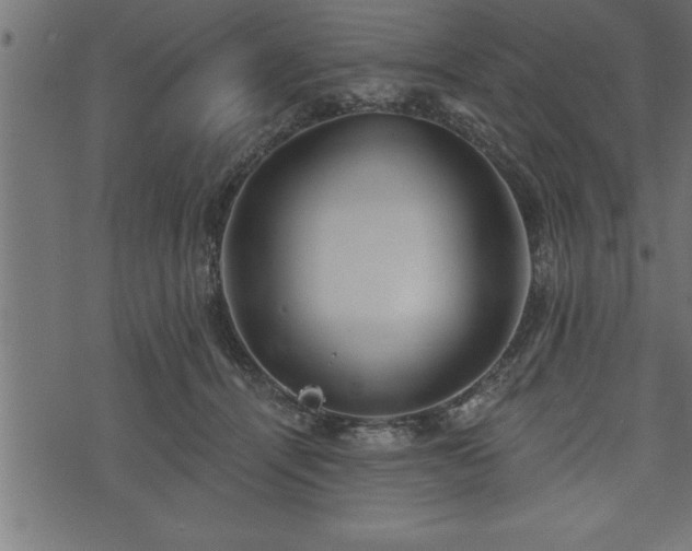 X0000073890464200608180938