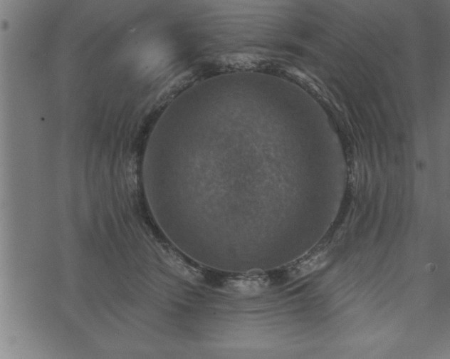 X0000073890466200608180938