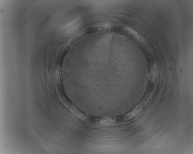 X0000073890468200608180938