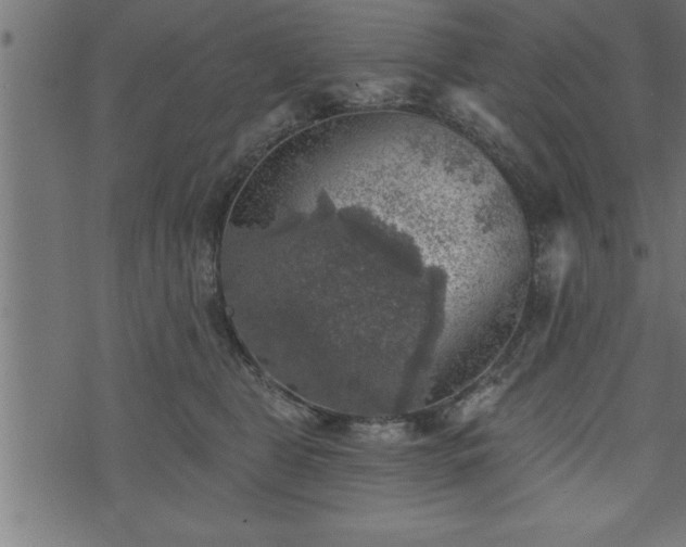 X0000073890469200608180938