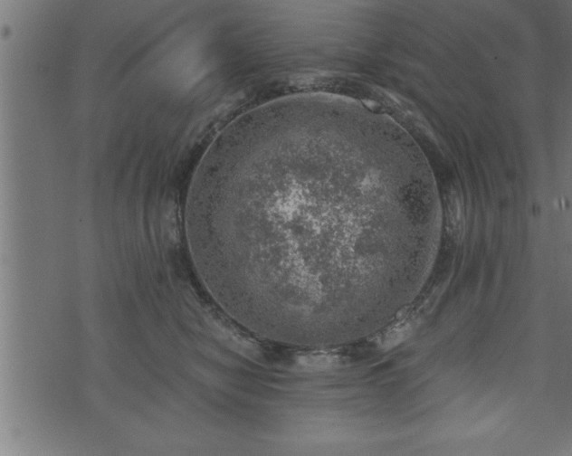 X0000073890470200608180938