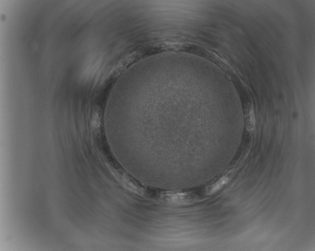 X0000073890472200608180938