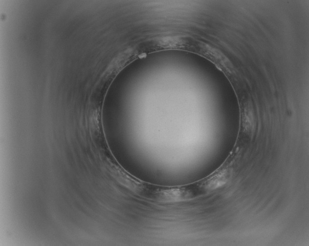 X0000073890473200608180938