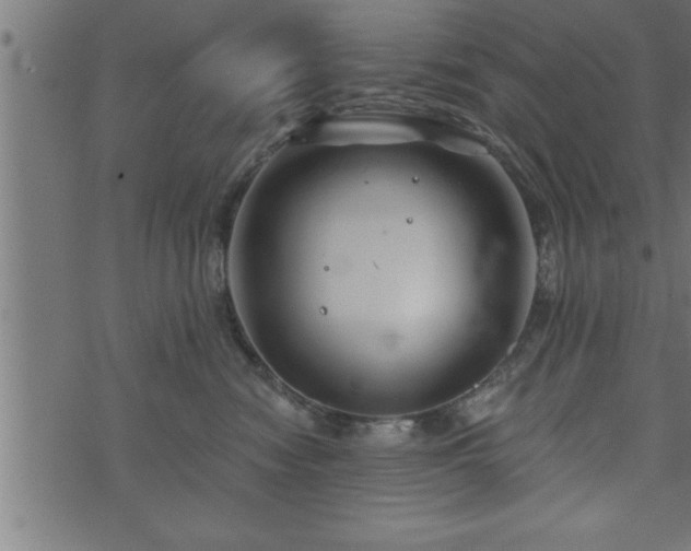 X0000073890474200608180938