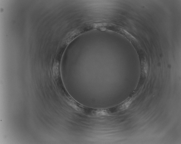 X0000073890475200608180938