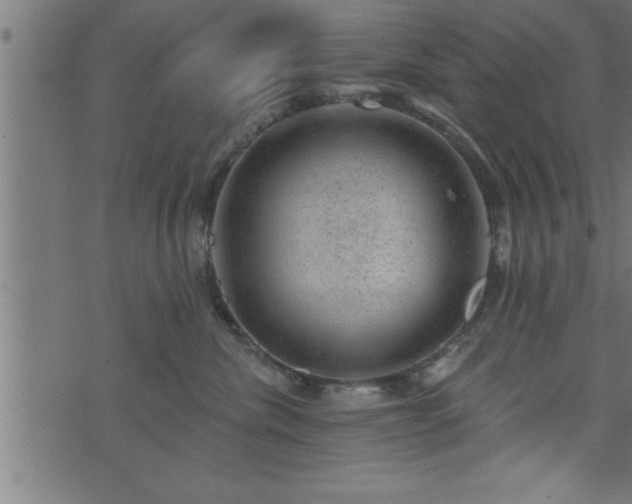 X0000073890476200608180938