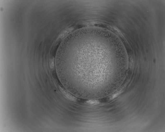 X0000073890477200608180938