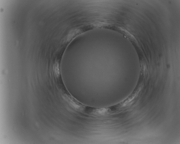 X0000073890479200608180938