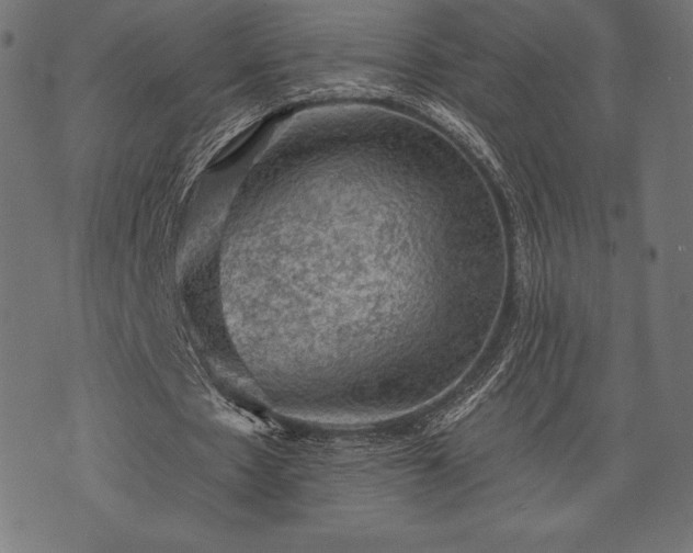 X0000073890481200608180937