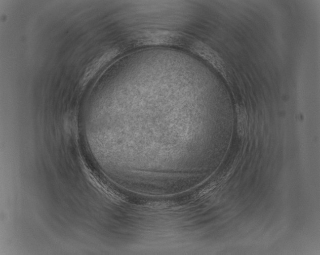 X0000073890482200608180937