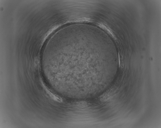 X0000073890483200608180937