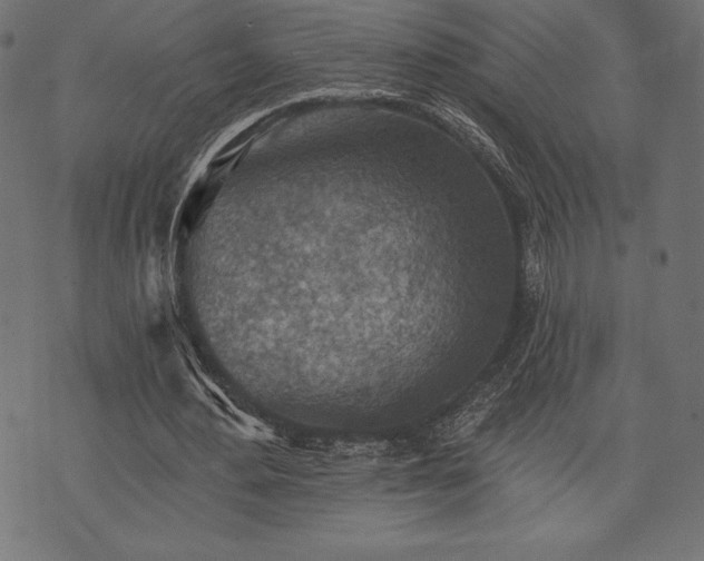 X0000073890484200608180937