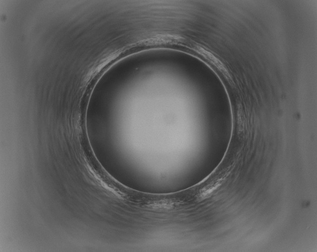 X0000073890485200608180937