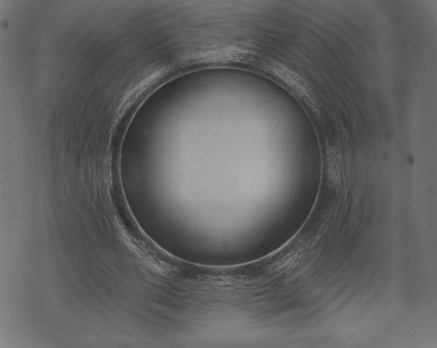 X0000073890486200608180937