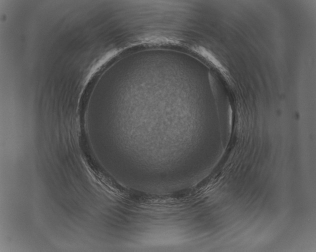 X0000073890488200608180937