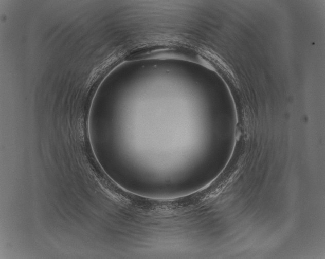 X0000073890489200608180937