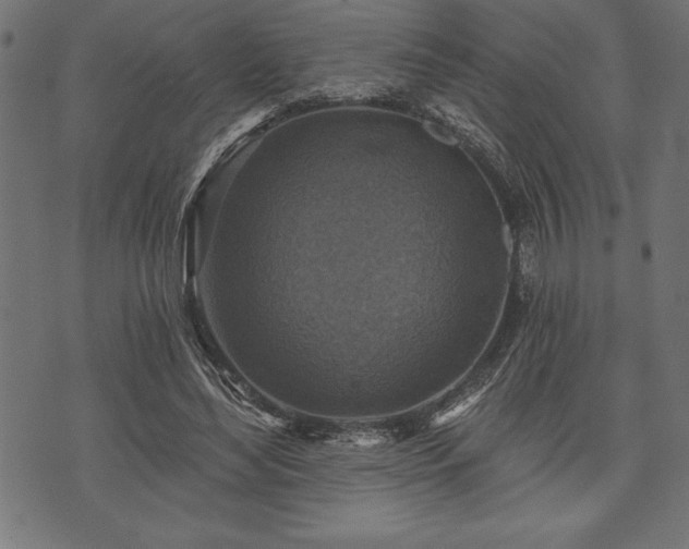 X0000073890492200608180937