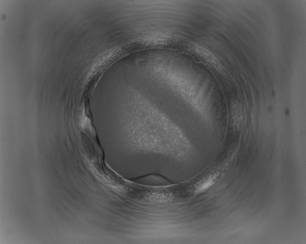 X0000073890494200608180937