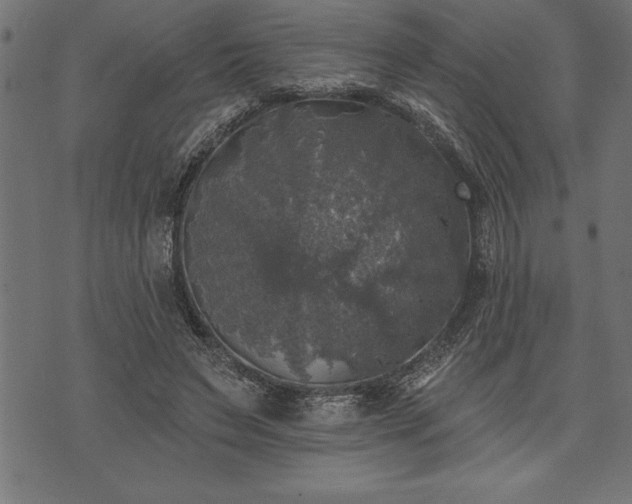 X0000073890495200608180937