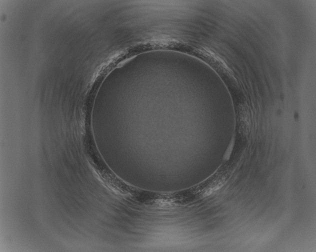 X0000073890496200608180937