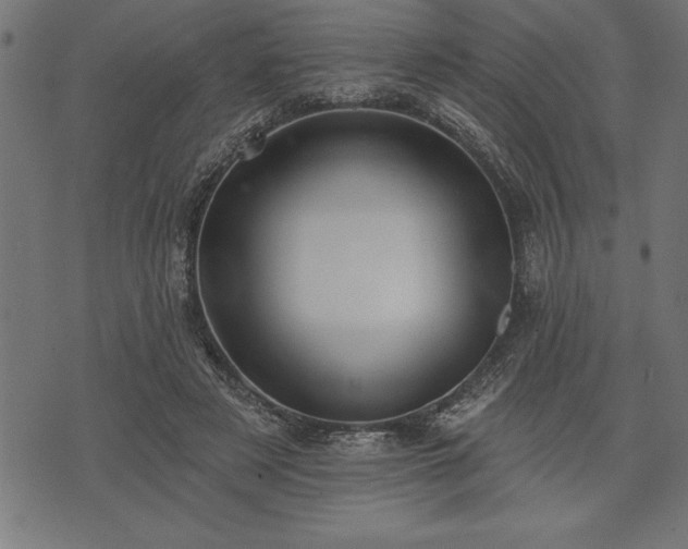 X0000073890497200608180937