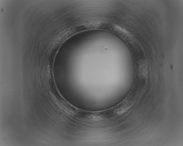 X0000073890498200608180937