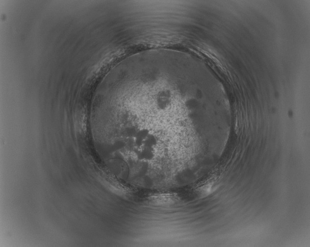 X0000073890499200608180937