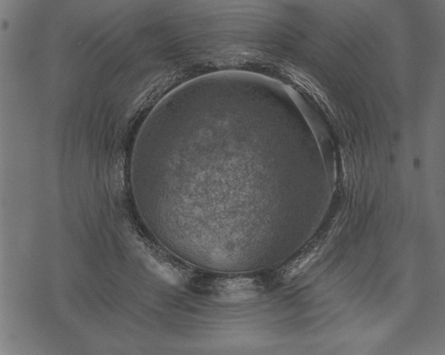 X0000073890501200608180937