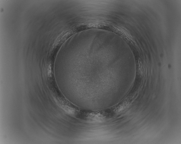 X0000073890502200608180937