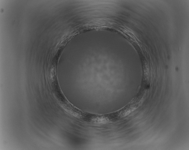 X0000073890503200608180937