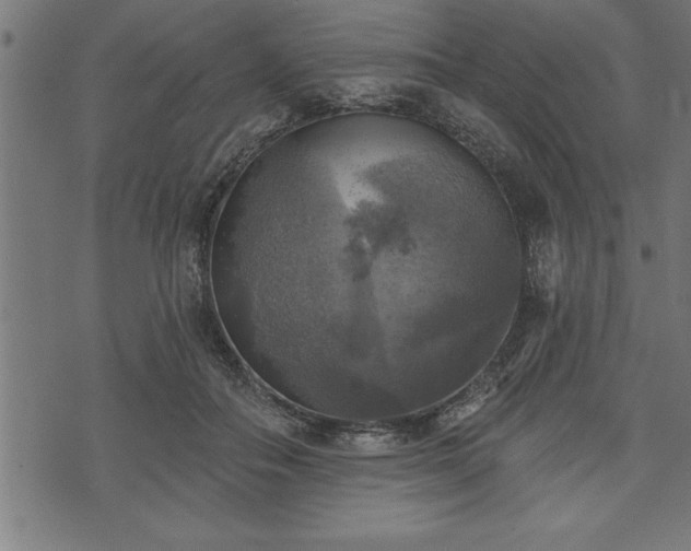 X0000073890506200608180937