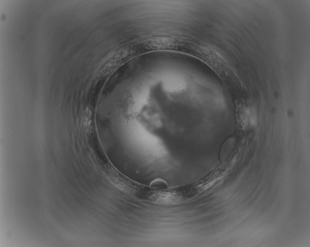 X0000073890507200608180937