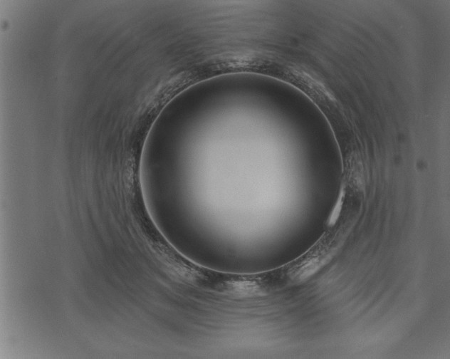 X0000073890509200608180937