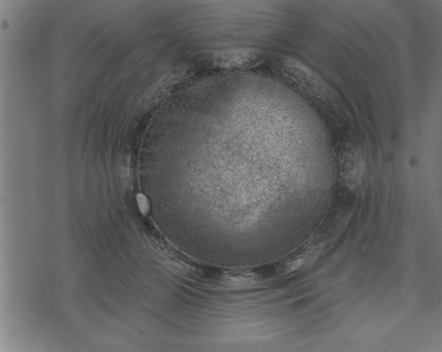 X0000073890510200608180937