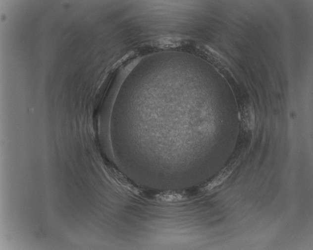 X0000073890512200608180937