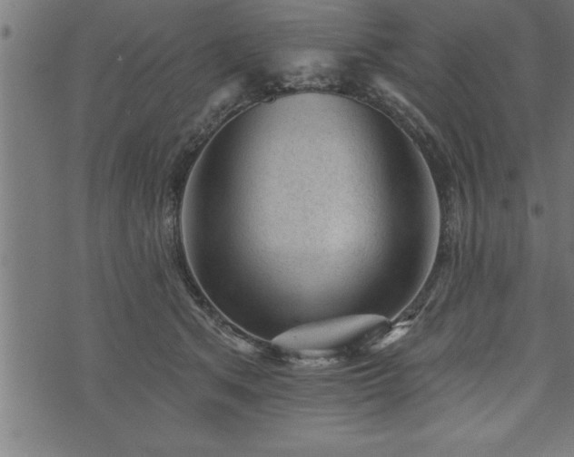 X0000073890513200608180937