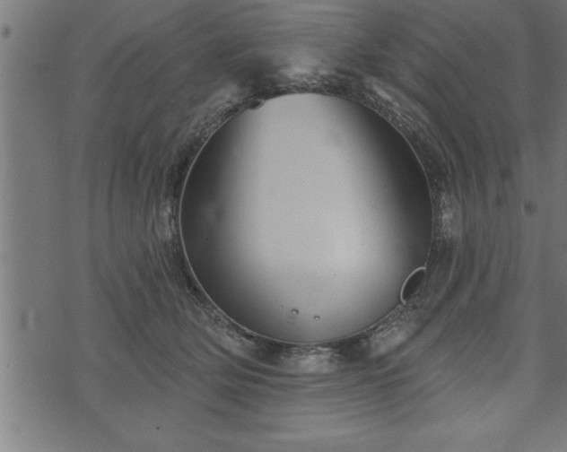 X0000073890514200608180937