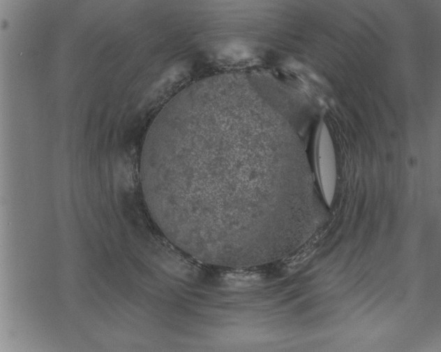 X0000073890515200608180937