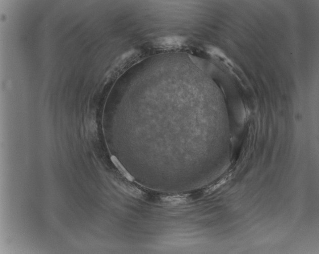 X0000073890516200608180937