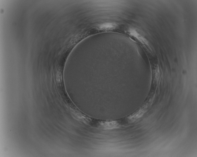 X0000073890517200608180937