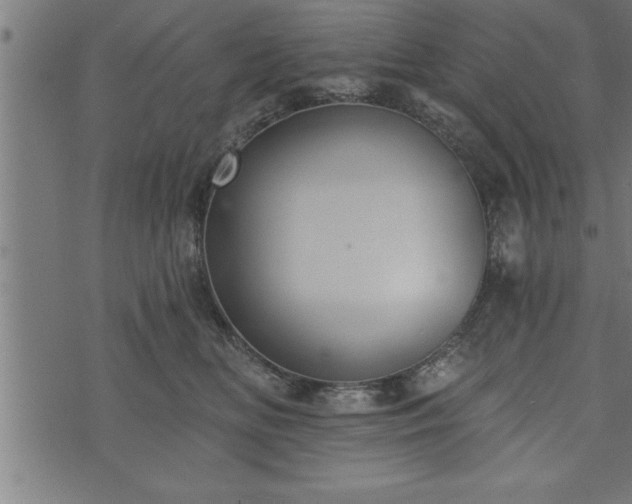 X0000073890518200608180937