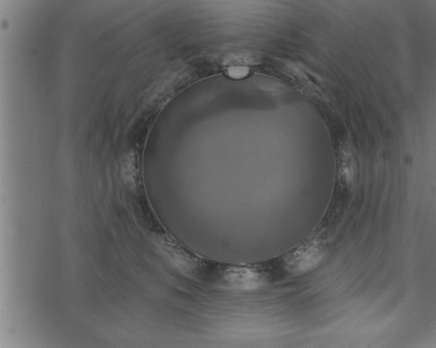 X0000073890519200608180937