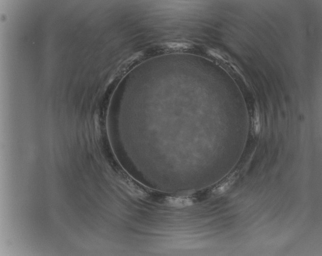 X0000073890520200608180937