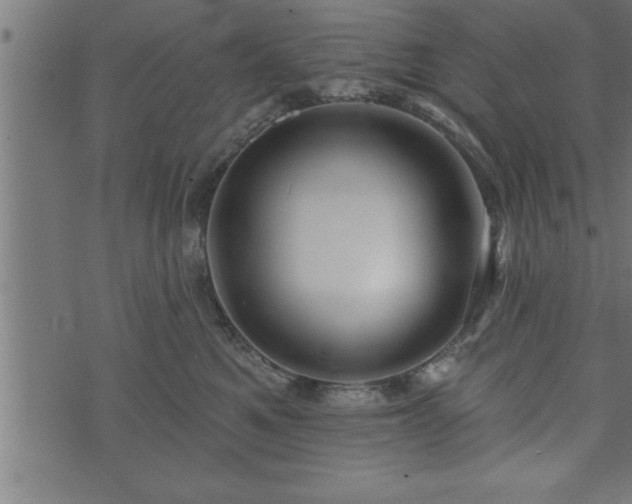 X0000073890521200608180937