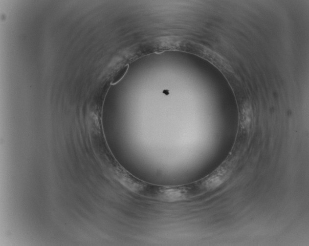 X0000073890522200608180937