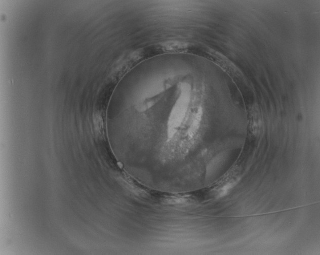 X0000073890523200608180937