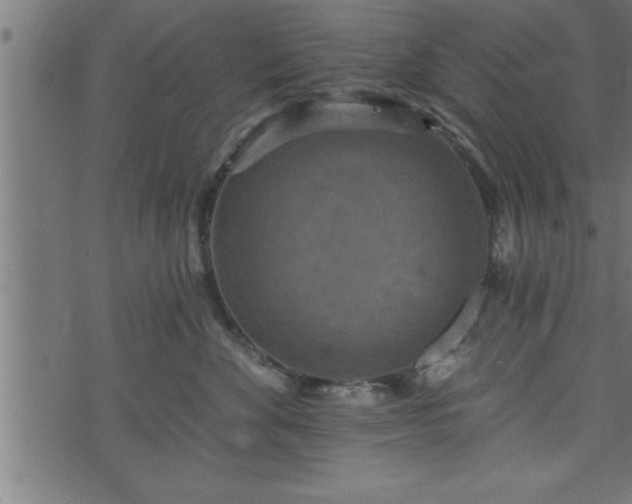 X0000073890524200608180937