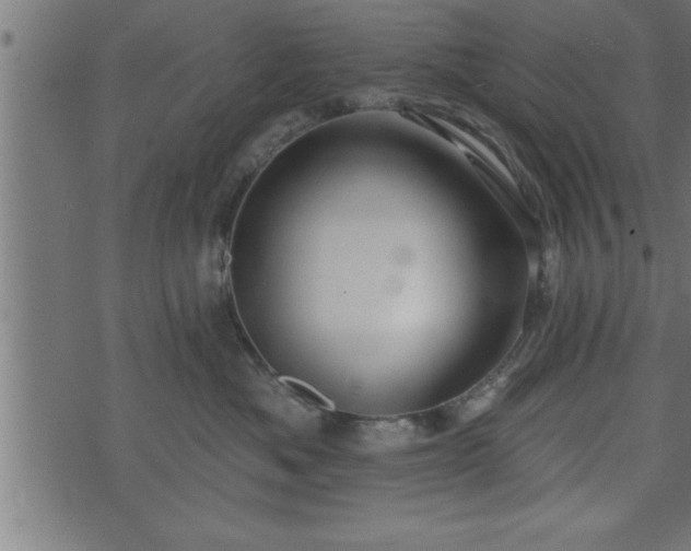 X0000073890525200608180937